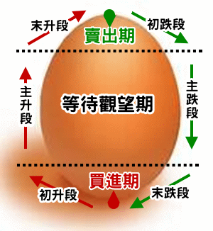 雞蛋理論循環圖